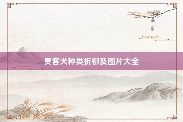 贵客犬种类折柳及图片大全