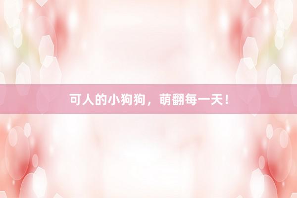 可人的小狗狗，萌翻每一天！
